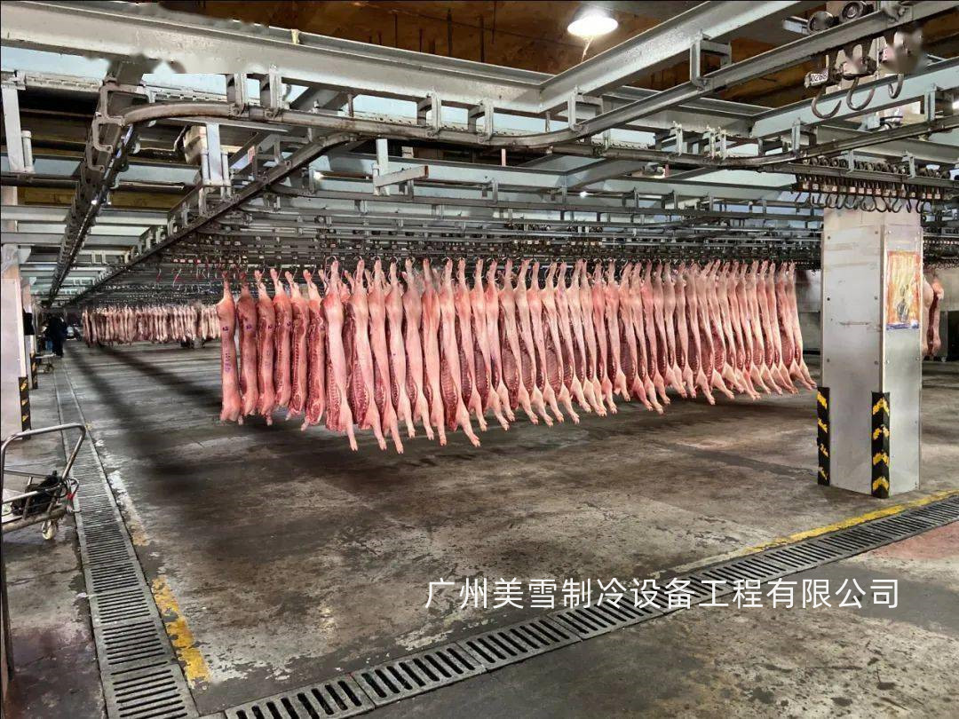 鸡猪牛羊肉 档口 商超 仓库 中转 市场 仓库物流冷冻库 速冻库,仓库,中转,市场,牛羊,牛羊肉,羊肉,速冻,冷冻