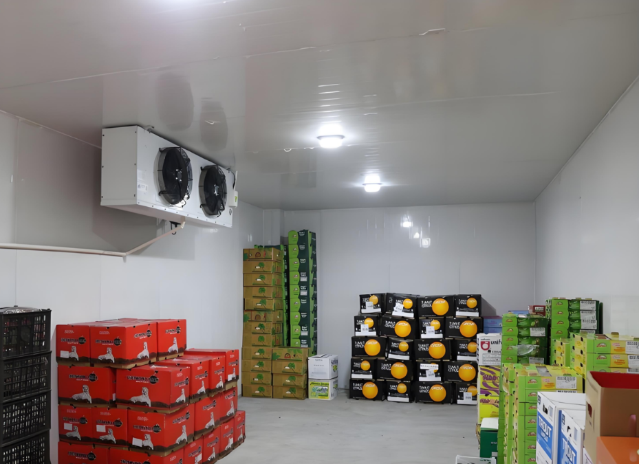 食品冷库-果蔬保鲜冷库的安装与保养怎么维护？,